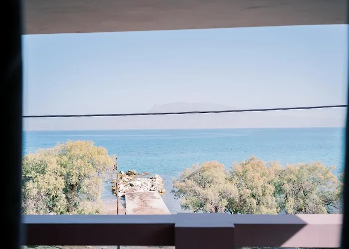 La Playa Suites 2