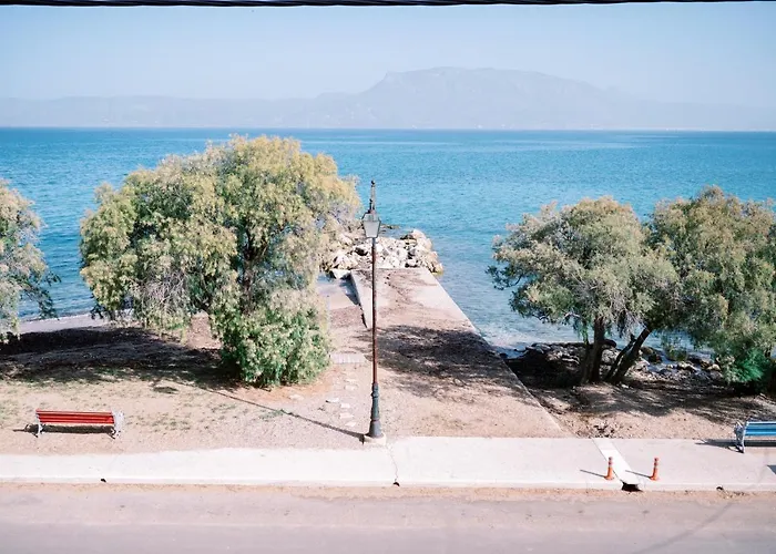 La Playa Suites 2